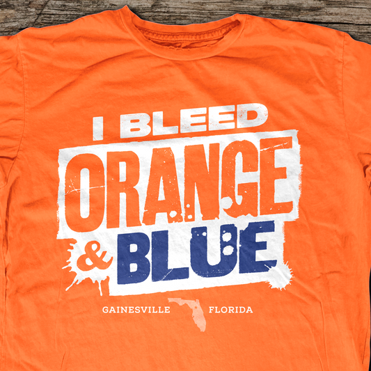 Home Colors: Gainesville t-shirt