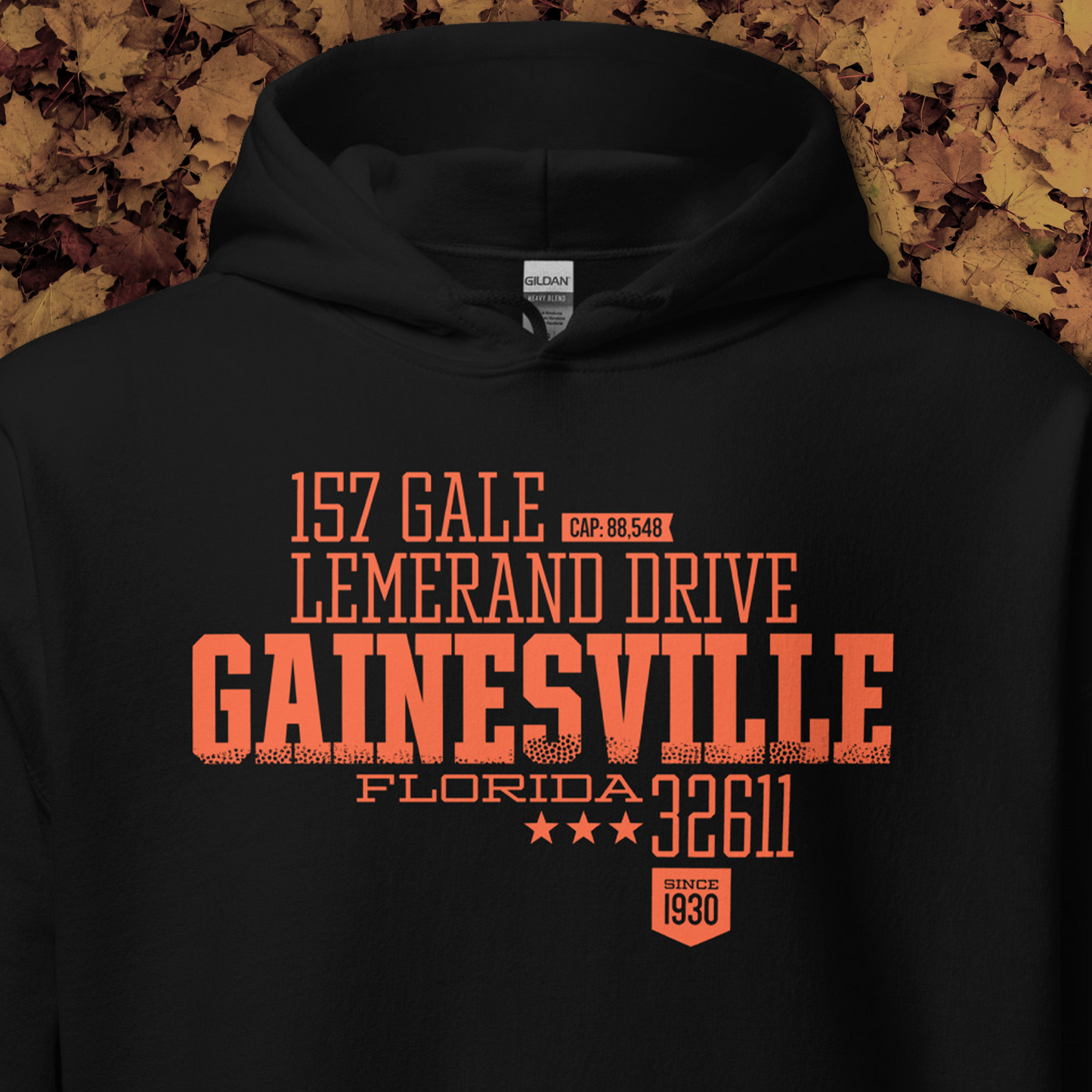 Home Turf: Gainesville hoodie