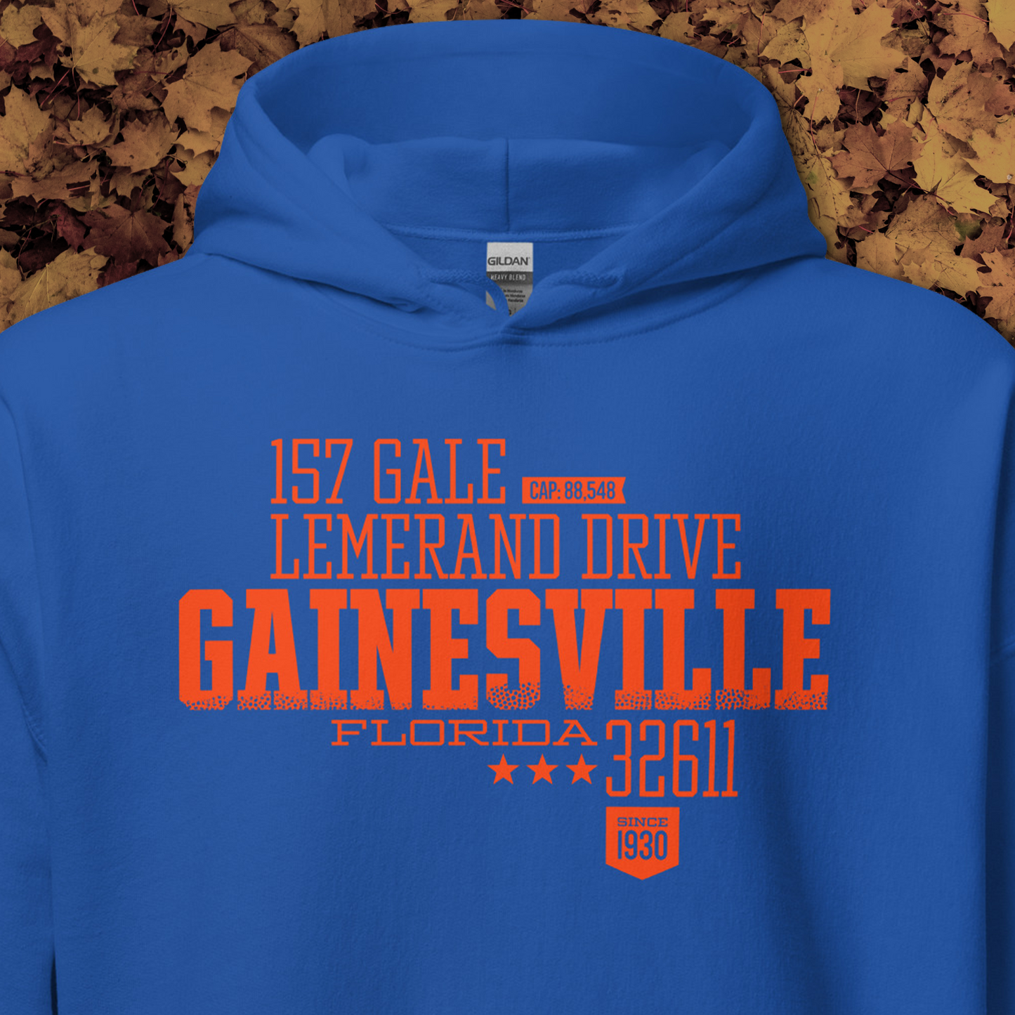 Home Turf: Gainesville hoodie