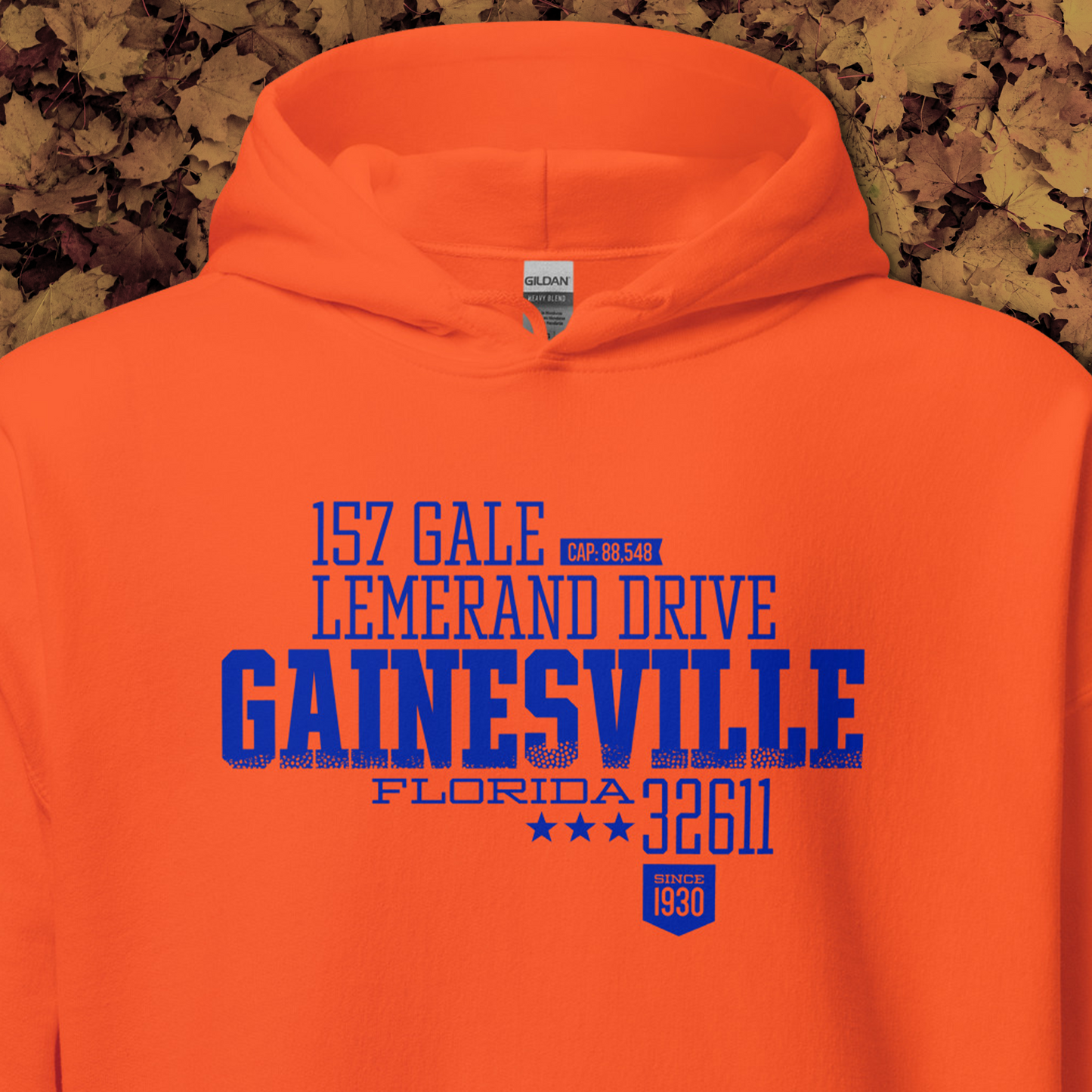 Home Turf: Gainesville hoodie