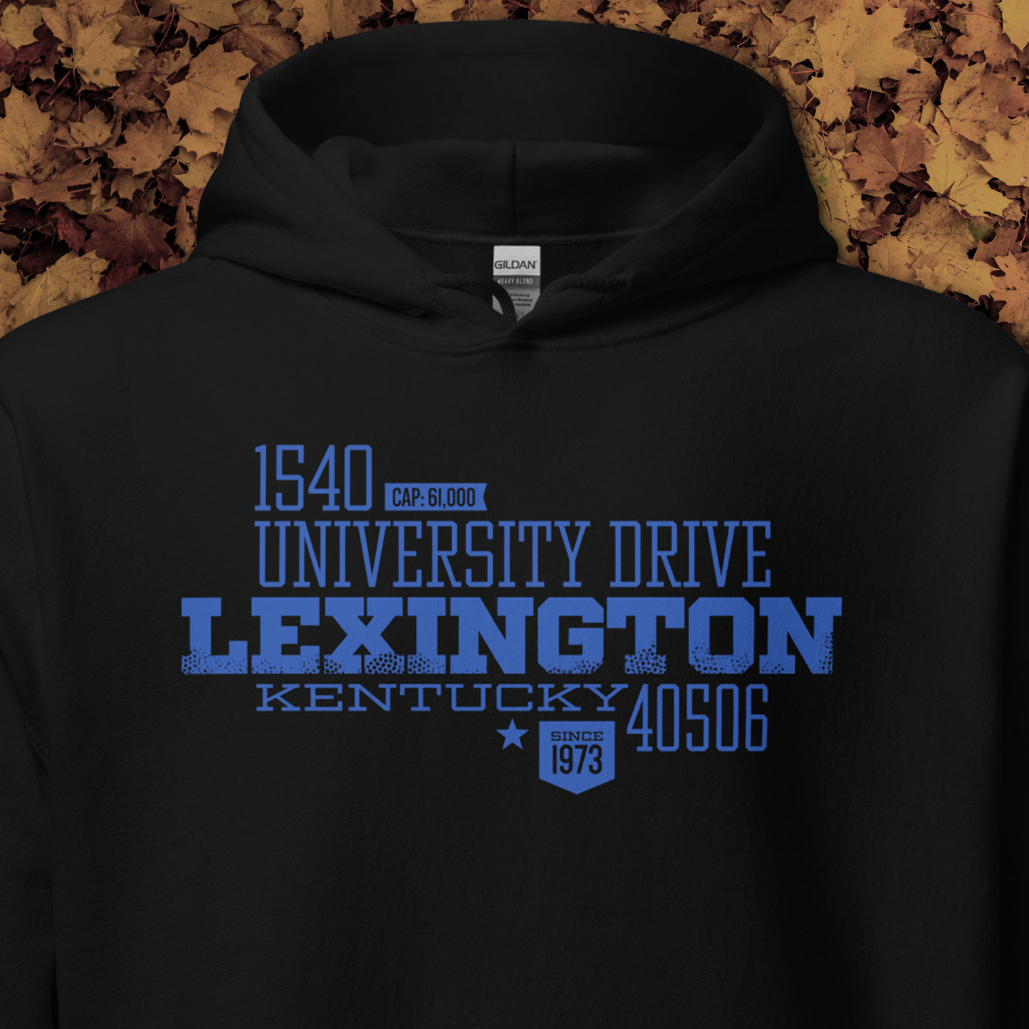 Home Turf: Lexington hoodie
