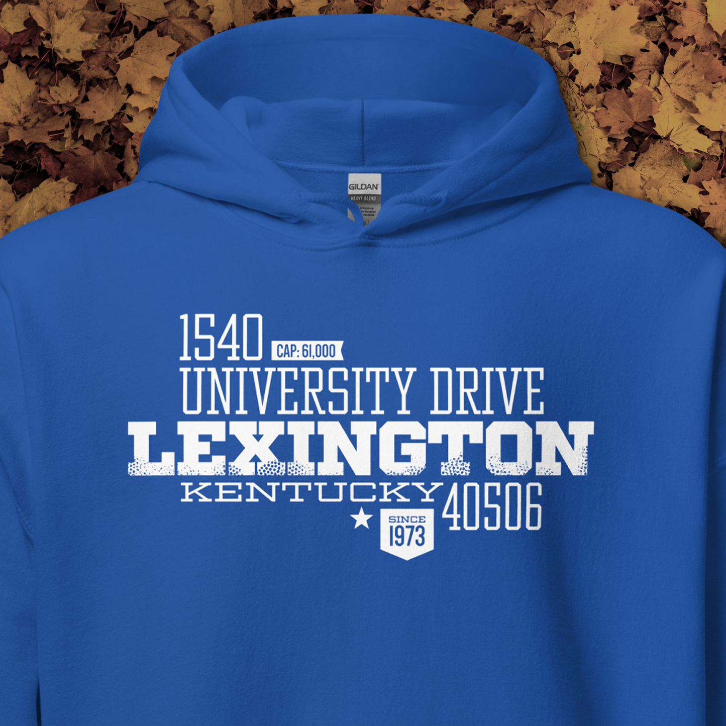 Home Turf: Lexington hoodie