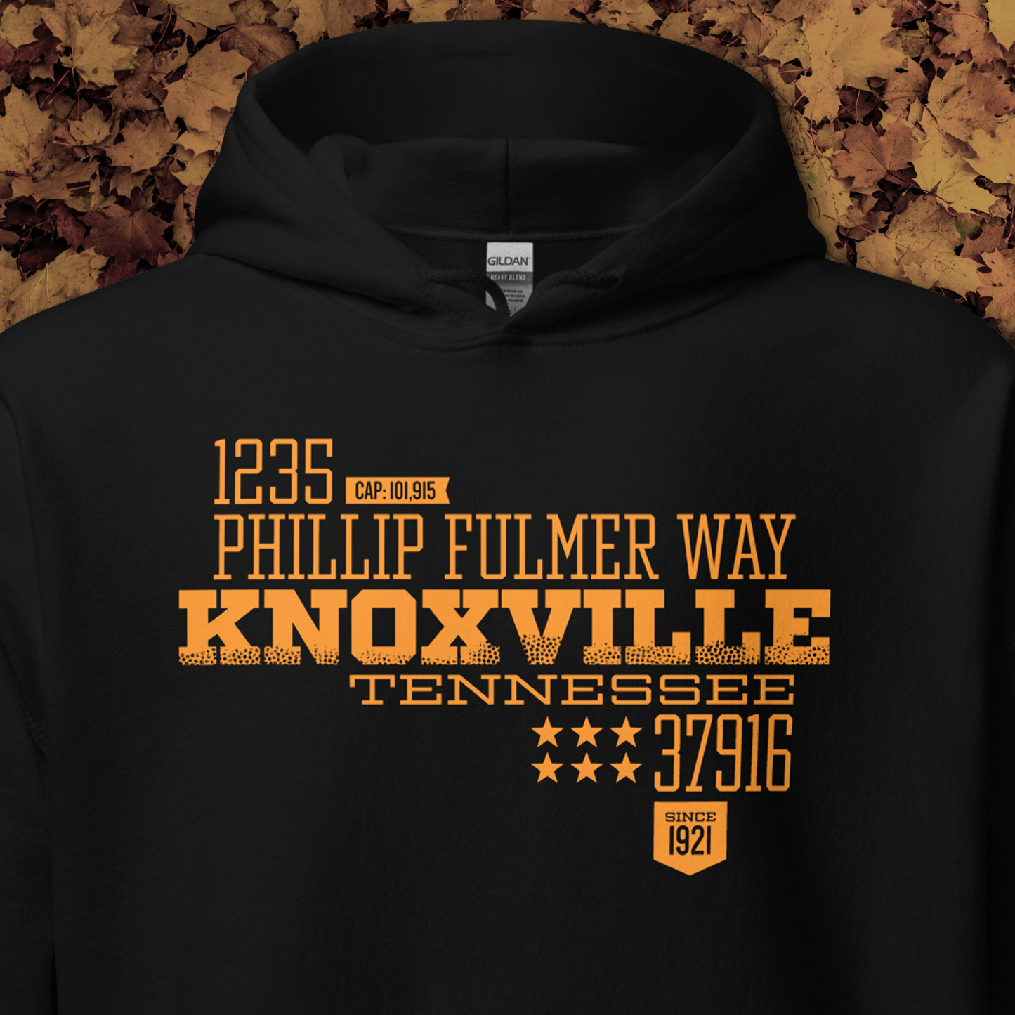 Home Turf: Knoxville hoodie