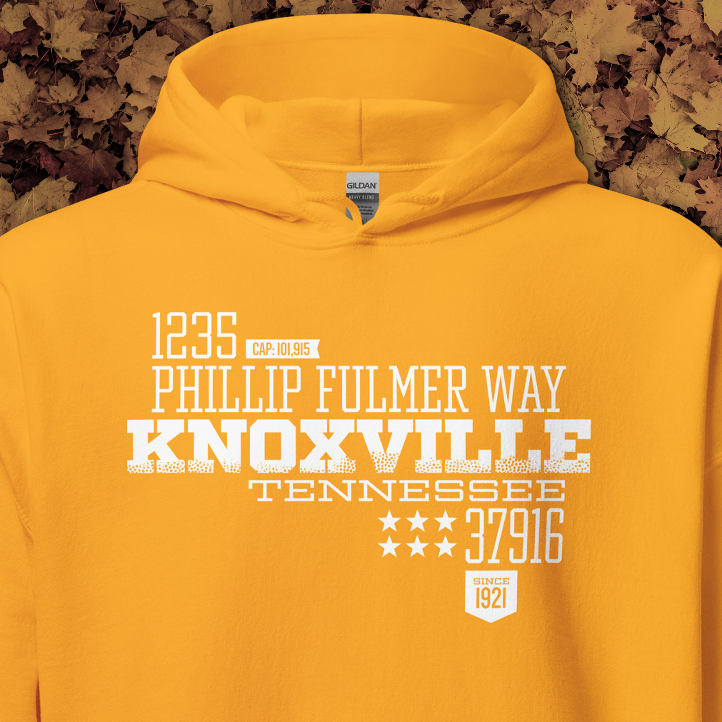 Home Turf: Knoxville hoodie